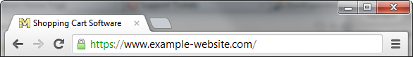 SSL Certificate for a domain